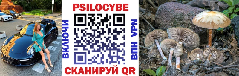 Галлюциногенные грибы GOLDEN TEACHER  ОМГ ОМГ вход  Моршанск  купить наркоту 
